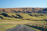 agricultural;agriculture;Central-Otago;Central-Otago-peneplain;country;countryside;farm;farming;Farmland;farms;field;fields;gravel-road;gravel-roads;meadow;meadows;metal-road;metal-roads;metalled-road;metalled-roads;N.Z.;New-Zealand;NZ;Otago;Otago-peneplain;paddock;paddocks;pasture;pastures;road;roads;Rock-and-Pillar-Range;rural;S.I.;SI;South-Is.;South-Island;Strath-Taieri;uiplands;upland