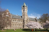 bloom;blooming;blooms;blossom;blossoming;blossoms;building;buildings;Clock-Tower;Clock-Towers;college;colleges;Dunedin;education;fresh;grow;growth;heritage;historic;historic-building;historic-buildings;historical;historical-building;historical-buildings;Historical-Registry-Building;history;N.Z.;New-Zealand;NZ;old;Otago;Otago-University;Registry-Building;renew;S.I.;season;seasonal;seasons;SI;South-Is.;South-Island;spring;springtime;tertiary-education;tradition;traditional;universities;university;University-of-Otago