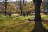autuminal;autumn;autumn-colour;autumn-colours;autumnal;color;colors;colour;colours;deciduous;Dunedin;Dunedin-Museum;fall;leaf;leaves;Museum-reserve;N.Z.;New-Zealand;NZ;Otago;Otago-Museum;S.I.;season;seasonal;seasons;SI;South-Is.;South-Island;student;students;tree;trees
