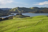 agricultural;agriculture;country;countryside;Dunedin;farm;farming;farmland;farms;fence;fence-line;fence-lines;fence_line;fence_lines;fenceline;fencelines;fences;field;fields;Hoopers-Inlet;meadow;meadows;N.Z.;New-Zealand;NZ;Otago;Otago-Peninsula;paddock;paddocks;pasture;pastures;rural;S.I.;SI;South-Is.;South-Island