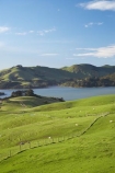 agricultural;agriculture;country;countryside;Dunedin;farm;farming;farmland;farms;fence;fence-line;fence-lines;fence_line;fence_lines;fenceline;fencelines;fences;field;fields;Hoopers-Inlet;meadow;meadows;N.Z.;New-Zealand;NZ;Otago;Otago-Peninsula;paddock;paddocks;pasture;pastures;rural;S.I.;SI;South-Is.;South-Island