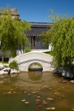 bridge;bridges;Dunedin;footbridge;footbridges;N.Z.;New-Zealand;NZ;Otago;pond;ponds;S.I.;SI;South-Is;South-Island