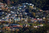 autuminal;autumn;autumn-colour;autumn-colours;autumnal;color;colors;colour;colours;communities;community;deciduous;Dunedin;Dunedin-Town-Belt;fall;home;homes;house;houses;housing;N.Z.;neigborhood;neigbourhood;New-Zealand;North-Dunedin;NZ;Otago;Otago-University;residences;residential;residential-housing;S.I.;season;seasonal;seasons;SI;South-Is;South-Island;Sth-Is;street;streets;student-flats;suburb;suburban;suburbia;suburbs;Town-Belt;tree;trees;University-of-Otago;urban