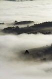 cloud;clouds;cloudy;Dunedin;fog;foggy;fogs;mist;mists;misty;monochromatic;monochrome;N.Z.;New-Zealand;NZ;Otago;Otago-Harbor;Otago-Harbour;Otago-Peninsula;S.I.;SI;South-Is.;South-Island;tree;trees;unusual-weather;weather