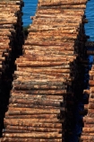 bulk;dock;docks;Dunedin;export;export-logs;exporting;exports;forestry;forestry-industry;import;importing;industrial;industry;log;log-stack;log-stacks;logging;logs;lumber;N.Z.;New-Zealand;NZ;Otago;pattern;patterns;pier;piers;pine;pine-tree;pine-trees;pines;pinus-radiata;port;Port-Chalmers;ports;Pt-Chalmers;quay;quays;S.I.;SI;South-Is;South-Is.;South-Island;Sth-Is;stockpile;stockpiles;timber;timber-industry;trade;tree;tree-trunk;tree-trunks;trees;waterside;wharf;wharfes;wharves;wood
