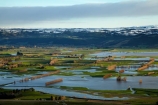 agricultural;agriculture;Allanton;bad-weather;country;countryside;crop;crops;deluge;Dunedin;extreme-weather;farm;farming;farmland;farms;field;fields;flood;flood-water;flood-waters;flooded-Taieri-River;flooding;floods;floodwater;floodwaters;high-water;horticulture;inundate;Maungatua;Maungatuas;meadow;meadows;Mosgiel;N.Z.;New-Zealand;NZ;on-flood;Otago;paddock;paddocks;pasture;pastures;river;rivers;rural;S.I.;shelter-belt;shelter-belts;shelter_belt;shelter_belts;shelterbelt;shelterbelts;SI;snow;snowy;South-Is;South-Is.;South-Island;Sth-Is;swollen-river;Taieri;Taieri-Plain;Taieri-Plains;Taieri-River;Taieri-River-in-flood;The-Maungatua-Range;The-Maungatuas;water;weather;wet;wind-break;wind-breaks;wind_break;wind_breaks;windbreak;windbreaks;winter;wintery