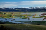 agricultural;agriculture;Allanton;animals;bad-weather;country;countryside;crop;crops;deluge;domestic-stock;Dunedin;extreme-weather;farm;farm-animals;farming;farmland;farms;field;fields;flood;flood-water;flood-waters;flooded-Taieri-River;flooding;floods;floodwater;floodwaters;high-water;horticulture;inundate;Maungatua;Maungatuas;meadow;meadows;Mosgiel;N.Z.;New-Zealand;NZ;on-flood;Otago;paddock;paddocks;pasture;pastures;river;rivers;rural;S.I.;sheep;shelter-belt;shelter-belts;shelter_belt;shelter_belts;shelterbelt;shelterbelts;SI;snow;snowy;South-Is;South-Is.;South-Island;Sth-Is;stock;swollen-river;Taieri;Taieri-Plain;Taieri-Plains;Taieri-River;Taieri-River-in-flood;The-Maungatua-Range;The-Maungatuas;water;weather;wet;wind-break;wind-breaks;wind_break;wind_breaks;windbreak;windbreaks;winter;wintery