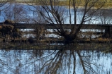 agricultural;agriculture;bad-weather;calm;country;countryside;deluge;Dunedin;extreme-weather;farm;farming;farmland;farms;field;fields;flood;flood-water;flood-waters;flooded;flooding;floods;floodwater;floodwaters;high-water;inundate;meadow;meadows;N.Z.;New-Zealand;NZ;on-flood;Otago;paddock;paddocks;pasture;pastures;placid;quiet;rail-line;rail-lines;rail-track;rail-tracks;railroad;railroads;railway;railway-line;railway-lines;railway-track;railway-tracks;railways;reflected;reflection;reflections;river;rivers;rural;S.I.;serene;SI;smooth;South-Is;South-Island;still;swollen-river;Taieri-Plain;Taieri-Plains;track;tracks;train-track;train-tracks;tranquil;transport;transportation;tree;trees;water;weather;wet;willow;willow-tree;willow-trees;willows
