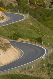 s-bend;s-bends;agricultural;agriculture;bend;bends;corner;corners;country;countryside;curve;curves;driving;Dunedin;farm;farming;farmland;farms;field;fields;highway;highways;meadow;meadows;N.Z.;New-Zealand;NZ;open-road;open-roads;Otago;Otago-Peninsula;paddock;paddocks;pasture;pastures;road;road-trip;roads;rural;s-bend;s-bends;S.I.;SI;South-Is;South-Island;Sth-Is;Taiaroa-Head;transport;transportation;travel;traveling;travelling;trip
