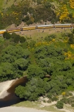 carriage;carriages;Dunedin;excursion;heritage;Hindon;N.Z.;New-Zealand;NZ;old;Otago;Passenger-Train;Passenger-Trains;rail;railroad;railroads;rails;railway;railways;river;rivers;S.I.;SI;South-Is;South-Is.;South-Island;Sth-Is;Taieri;Taieri-Gorge;Taieri-Gorge-Excursion-Train;Taieri-Gorge-Train;Taieri-River;tourism;train;trains;transport;transportation;travel;yellow