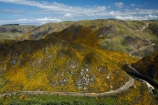 Bloom;carriage;carriages;common-gorse;country;countryside;Dunedin;excursion;furze;gorse;gorse-flower;gorse-flowers;Gorse-in-Flower;heritage;Hindon;invasive-plant-species;N.Z.;New-Zealand;noxious-plant;noxious-plants;noxious-weed;noxious-weeds;NZ;old;Otago;Passenger-Train;Passenger-Trains;rail;railroad;railroads;rails;railway;railways;river;rivers;rural;S.I.;season;seasonal;seasons;SI;South-Is;South-Is.;South-Island;spring;spring-time;spring_time;springtime;Sth-Is;Taieri;Taieri-Gorge;Taieri-Gorge-Excursion-Train;Taieri-Gorge-Train;Taieri-River;tourism;train;trains;transport;transportation;travel;Ulex-europaeus;weed;weeds;whin;yellow;yellow-flower;yellow-flowers