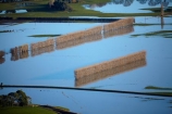 agricultural;agriculture;Allanton;bad-weather;country;countryside;crop;crops;deluge;Dunedin;extreme-weather;farm;farming;farmland;farms;field;fields;flood;flood-water;flood-waters;flooded-Taieri-River;flooding;floods;floodwater;floodwaters;high-water;horticulture;inundate;meadow;meadows;Mosgiel;N.Z.;New-Zealand;NZ;on-flood;Otago;paddock;paddocks;pasture;pastures;river;rivers;rural;S.I.;shelter-belt;shelter-belts;shelter_belt;shelter_belts;shelterbelt;shelterbelts;SI;South-Is;South-Is.;South-Island;Sth-Is;swollen-river;Taieri;Taieri-Plain;Taieri-Plains;Taieri-River;Taieri-River-in-flood;water;weather;wet;wind-break;wind-breaks;wind_break;wind_breaks;windbreak;windbreaks;winter;wintery