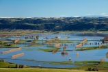 agricultural;agriculture;Allanton;bad-weather;country;countryside;crop;crops;deluge;Dunedin;extreme-weather;farm;farming;farmland;farms;field;fields;flood;flood-water;flood-waters;flooded-Taieri-River;flooding;floods;floodwater;floodwaters;high-water;horticulture;inundate;meadow;meadows;Mosgiel;N.Z.;New-Zealand;NZ;on-flood;Otago;paddock;paddocks;pasture;pastures;river;rivers;rural;S.I.;shelter-belt;shelter-belts;shelter_belt;shelter_belts;shelterbelt;shelterbelts;SI;South-Is;South-Is.;South-Island;Sth-Is;swollen-river;Taieri;Taieri-Plain;Taieri-Plains;Taieri-River;Taieri-River-in-flood;water;weather;wet;wind-break;wind-breaks;wind_break;wind_breaks;windbreak;windbreaks;winter;wintery