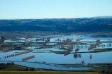 agricultural;agriculture;Allanton;bad-weather;country;countryside;crop;crops;deluge;Dunedin;extreme-weather;farm;farming;farmland;farms;field;fields;flood;flood-water;flood-waters;flooded-Taieri-River;flooding;floods;floodwater;floodwaters;high-water;horticulture;inundate;meadow;meadows;Mosgiel;N.Z.;New-Zealand;NZ;on-flood;Otago;paddock;paddocks;pasture;pastures;river;rivers;rural;S.I.;shelter-belt;shelter-belts;shelter_belt;shelter_belts;shelterbelt;shelterbelts;SI;South-Is;South-Is.;South-Island;Sth-Is;swollen-river;Taieri;Taieri-Plain;Taieri-Plains;Taieri-River;Taieri-River-in-flood;water;weather;wet;wind-break;wind-breaks;wind_break;wind_breaks;windbreak;windbreaks;winter;wintery