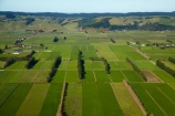 aerial;aerial-image;aerial-images;aerial-photo;aerial-photograph;aerial-photographs;aerial-photography;aerial-photos;aerial-view;aerial-views;aerials;agricultural;agriculture;Allanton;country;countryside;Dunedin;farm;farming;farmland;farms;field;fields;green;lush-farmland;meadow;meadows;Momona;N.Z.;New-Zealand;NZ;Otago;paddock;paddocks;pasture;pastures;rural;shelter-belt;shelter-belts;shelter_belt;shelter_belts;shelterbelt;shelterbelts;South-Is;South-Island;Sth-Is;Taieri;Taieri-Plain;Taieri-Plains;wind-break;wind-breaks;wind_break;wind_breaks;windbreak;windbreaks