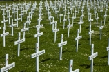 cross;crosses;Dunedin;Field-of-Rememberance;memorial;memorial-crosses;memorials;military-crosses;military-memorial;N.Z.;New-Zealand;NZ;Otago;pattern;patterns;Queens-Gardens;Queens-Gardens;row;rows;rows-of-crosses;soldiers-memorial-crosses;soldiers-memorials;South-Is;South-Island;Sth-Is;WWI-memorial