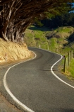 s-bend;s-bends;bend;bends;corner;corners;curve;curves;Dunedin;Highcliff-Rd;N.Z.;narrow;narrow-road;New-Zealand;NZ;Otago;Otago-Peninsula;road;roads;s-bend;s-bends;South-Is;South-Island;Sth-Is