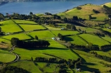 agricultural;agriculture;country;countryside;Dunedin;farm;farming;farmland;farms;field;fields;Martins-Hill;meadow;meadows;N.Z.;New-Zealand;NZ;Otago;paddock;paddocks;pasture;pastures;rural;shelter-belt;shelter-belts;shelter_belt;shelter_belts;shelterbelt;shelterbelts;South-Is;South-Island;Sth-Is;Upper-Junction;wind-break;wind-breaks;wind_break;wind_breaks;windbreak;windbreaks
