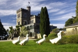 architecture;building;buildings;castle;castles;duck;ducks;Dunedin;fountain;fountains;geese;goose;grand;historic;historical;history;Larnach-Castle;larnachs-castle;larnachs-castle;manor;New-Zealand;old;otago-peninslar;Otago-Peninsula;South-Island