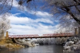 beautiful;bridge;bridges;calm;calmness;clean;clear;cold;Coldness;Color;Colour;Daytime;Exterior;freeze;freezing;freezing-fog;frost;Frosted;frosty;grass;grasses;heritage;high-country;historic;Historic-Suspension-Bridge;historical;history;hoar-frost;Hoarfrost;ice;ice-crystals;icy;idyllic;Landscape;Landscapes;natural;Nature;new-zealand;old;Otago;Outdoor;Outdoors;Outside;peaceful;Peacefulness;phenomena;phenomenon;pure;Quiet;Quietness;rime;river;river-bank;riverbank;rivers;rustic;Scenic;Scenics;Season;Seasons;silence;south-island;spectacular;stone;strath-taieri;stunning;suspension-bridges;sutton;taieri-River;tranquil;tranquility;tree;trees;view;water;weather;White;willow;willows;winter;Wintertime;wintery;wintry