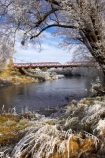 beautiful;bridge;bridges;calm;calmness;clean;clear;cold;Coldness;Color;Colour;Daytime;Exterior;freeze;freezing;freezing-fog;frost;Frosted;frosty;grass;grasses;heritage;high-country;historic;Historic-Suspension-Bridge;historical;history;hoar-frost;Hoarfrost;ice;ice-crystals;icy;idyllic;Landscape;Landscapes;natural;Nature;new-zealand;old;Otago;Outdoor;Outdoors;Outside;peaceful;Peacefulness;phenomena;phenomenon;pure;Quiet;Quietness;rime;river;river-bank;riverbank;rivers;rustic;Scenic;Scenics;Season;Seasons;silence;south-island;spectacular;stone;strath-taieri;stunning;suspension-bridges;sutton;taieri-River;tranquil;tranquility;tree;trees;view;water;weather;White;willow;willows;winter;Wintertime;wintery;wintry