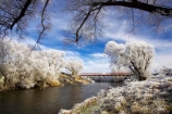 beautiful;bridge;bridges;calm;calmness;clean;clear;cold;Coldness;Color;Colour;Daytime;Exterior;freeze;freezing;freezing-fog;frost;Frosted;frosty;grass;grasses;heritage;high-country;historic;Historic-Suspension-Bridge;historical;history;hoar-frost;Hoarfrost;ice;ice-crystals;icy;idyllic;Landscape;Landscapes;natural;Nature;new-zealand;old;Otago;Outdoor;Outdoors;Outside;peaceful;Peacefulness;phenomena;phenomenon;pure;Quiet;Quietness;rime;river;river-bank;riverbank;rivers;rustic;Scenic;Scenics;Season;Seasons;silence;south-island;spectacular;stone;strath-taieri;stunning;suspension-bridges;sutton;taieri-River;tranquil;tranquility;tree;trees;view;water;weather;White;willow;willows;winter;Wintertime;wintery;wintry