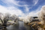 beautiful;calm;calmness;clean;clear;cold;Coldness;Color;Colour;Daytime;Exterior;freeze;freezing;freezing-fog;frost;Frosted;frosty;grass;grasses;heritage;high-country;hoar-frost;Hoarfrost;ice;ice-crystals;icy;idyllic;Landscape;Landscapes;natural;Nature;new-zealand;otago;Outdoor;Outdoors;Outside;peaceful;Peacefulness;phenomena;phenomenon;pure;Quiet;Quietness;rime;river;river-bank;riverbank;rivers;Scenic;Scenics;Season;Seasons;silence;south-island;spectacular;strath-taieri;stunning;sutton;taieri-River;tranquil;tranquility;tree;trees;view;water;weather;White;willow;willows;winter;Wintertime;wintery;wintry
