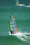 action;adventure;adventure-sports;beach;beaches;Dunedin;excitement;fast;N.Z.;New-Zealand;NZ;Ocean;oceans;Pacific-Ocean;past_time;recreation-leisure;sail;sailing;sails;Sea;South-Island;speed;splash;splashes;splashing;sport;sports;St-Clair-Beach;wake;wakes;water;water-sport;water-sports;watersport;watersports;wave;waves;wind;Wind-surf;wind-surfer;wind-surfers;wind-surfing;Wind_surf;wind_surfer;wind_surfers;wind_surfing;Windsurf;windsurfer;windsurfers;windsurfing;windy