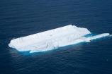aerial;aerial-photo;aerial-photography;aerial-photos;aerial-view;aerial-views;aerials;berg;bergs;blue;climate-change;cold;cold-icy;Dunedin;global-warming;growler;growlers;hazard;hazards;ice;iceberg;icebergs;icy;N.Z.;New-Zealand;NZ;oceaans;ocean;Otago;Pacific-Ocean;S.I.;sea;seas;shipping-hazard;shipping-hazards;SI;Sightseeing-Flight;Sightseeing-Flights;Sightseeing-Plane;Sightseeing-Planes;South-Island;water;white