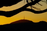 Dunedin;dusk;evening;Mount-Cargill;Mt-Cargill;Mt.-Cargill;N.Z.;New-Zealand;nightfall;NZ;orange;Otago-Peninsula;radio-transmitter;radio-transmitters;radio-waves;S.I.;Sandy-Mount;Sandymount;SI;signal;silhouette;silhouettes;sky;South-Is.;South-Island;sunset;sunsets;television-tower;television-transmitter;television-transmitters;transmitter;transmitters;tv-tower;tv-transmitter;tv-transmitters;twilight