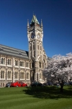 bloom;blooming;blooms;blossom;blossoming;blossoms;building;buildings;Clock-Tower;Clock-Towers;college;colleges;Dunedin;education;fresh;grow;growth;heritage;historic;historic-building;historic-buildings;historical;historical-building;historical-buildings;Historical-Registry-Building;history;N.Z.;New-Zealand;NZ;old;Otago;Otago-University;Registry-Building;renew;S.I.;season;seasonal;seasons;SI;South-Is.;South-Island;spring;springtime;tertiary-education;tradition;traditional;universities;University-of-Otago
