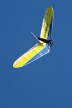 adrenaline;adventure;adventure-tourism;aerial;altitude;excite;excitement;extreme;extreme-sport;fly;flyer;flying;free;freedom;hang-glide;hang-glider;hang-gliders;hang-gliding;hang_glide;hang_glider;hang_gliders;hang_gliding;hangglide;hangglider;hanggliders;hanggliding;New-Zealand;Otago-Peninsula;recreation;skies;sky;soar;soaring;soars;South-Island;sport;sports;view;wing;wings