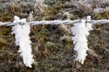 barb-wire;barbed-wire;beautiful;calm;calmness;clean;clear;cold;Coldness;Color;Colour;Daytime;Exterior;fence;fences;freeze;freezes;freezing;freezing-fog;frost;Frosted;frosty;frozen;high-country;hoar;hoar-frost;Hoarfrost;ice;ice-crystals;icy;idyllic;Landscape;Landscapes;natural;Nature;new-zealand;Otago;Outdoor;Outdoors;Outside;peaceful;Peacefulness;phenomena;phenomenon;pure;Quiet;Quietness;rime;Scenic;Scenics;Season;seasonal;Seasons;silence;South-Island;spectacular;stunning;sutton;tranquil;tranquility;view;water;weather;White;winter;Wintertime;wintery;wintry;wire;wires