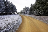 beautiful;calm;calmness;clean;clear;cold;Coldness;Color;Colour;countryside;Daytime;dusty;Exterior;freeze;freezing;freezing-fog;frost;Frosted;frosty;gravel-road;gravel-roads;high-country;hoar-frost;Hoarfrost;ice;ice-crystals;icy;idyllic;Landscape;Landscapes;metal-road;metal-roads;metalled-road;metalled-roads;natural;Nature;new-zealand;otago;Outdoor;Outdoors;Outside;peaceful;Peacefulness;phenomena;phenomenon;pure;Quiet;Quietness;rime;road;roads;rural;Scenic;Scenics;Season;Seasons;silence;south-island;spectacular;strath-taieri;stunning;sutton;tranquil;tranquility;tree;trees;view;water;weather;White;winter;Wintertime;wintery;wintry