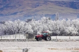 agricultural;agriculture;beautiful;calm;calmness;clean;clear;cold;Coldness;Color;Colour;country;countryside;Daytime;Exterior;farm;farming;farmland;farms;field;fields;freeze;freezing;freezing-fog;frost;Frosted;frosty;high-country;hoar-frost;Hoarfrost;ice;ice-crystals;icy;idyllic;Landscape;Landscapes;meadow;meadows;natural;Nature;new-zealand;otago;Outdoor;Outdoors;Outside;paddock;paddocks;pasture;pastures;peaceful;Peacefulness;phenomena;phenomenon;pure;Quiet;Quietness;rime;rural;Scenic;Scenics;Season;Seasons;silence;south-island;spectacular;strath-taieri;stunning;sutton;tranquil;tranquility;tree;trees;view;water;weather;White;willow;willows;winter;Wintertime;wintery;wintry