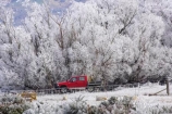 4wd;4wds;4wds;4x4;4x4s;4x4s;agricultural;agriculture;beautiful;calm;calmness;clean;clear;cold;Coldness;Color;Colour;country;countryside;Daytime;Exterior;farm;farming;farmland;farms;field;fields;four-by-four;four-by-fours;four-wheel-drive;four-wheel-drives;freeze;freezing;freezing-fog;frost;Frosted;frosty;high-country;hoar-frost;Hoarfrost;ice;ice-crystals;icy;idyllic;Landscape;Landscapes;meadow;meadows;natural;Nature;new-zealand;otago;Outdoor;Outdoors;Outside;paddock;paddocks;pasture;pastures;peaceful;Peacefulness;phenomena;phenomenon;pure;Quiet;Quietness;rime;rural;Scenic;Scenics;Season;Seasons;silence;south-island;spectacular;strath-taieri;stunning;sutton;suv;suvs;tranquil;tranquility;tree;trees;vehicle;vehicles;view;water;weather;White;willow;willows;winter;Wintertime;wintery;wintry