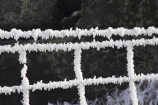 agricultural;agriculture;beautiful;calm;calmness;clean;clear;cold;Coldness;Color;Colour;country;countryside;Daytime;Exterior;farm;farming;farmland;farms;fence;fences;field;fields;freeze;freezes;freezing;freezing-fog;frost;Frosted;frosty;frozen;hexagon;hexagonal;high-country;hoar;hoar-frost;Hoarfrost;ice;ice-crystals;icy;idyllic;Landscape;Landscapes;meadow;meadows;natural;Nature;netting;new-zealand;Otago;Outdoor;Outdoors;Outside;paddock;paddocks;pasture;pastures;phenomena;phenomenon;rime;rural;Scenic;Scenics;season;seasonal;seasons;South-Island;spectacular;stunning;sutton;weather;White;winter;Wintertime;wintery;wintry;wire;wire-net;wire-netting;wires