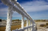 agricultural;agriculture;beautiful;calm;calmness;clean;clear;cold;Coldness;Color;Colour;country;countryside;Daytime;Exterior;farm;farming;farmland;farms;fence;fences;field;fields;freeze;freezes;freezing;freezing-fog;frost;Frosted;frosty;frozen;hexagon;hexagonal;high-country;hoar;hoar-frost;Hoarfrost;ice;ice-crystals;icy;idyllic;Landscape;Landscapes;meadow;meadows;natural;Nature;netting;new-zealand;Otago;Outdoor;Outdoors;Outside;paddock;paddocks;pasture;pastures;phenomena;phenomenon;rime;rural;Scenic;Scenics;season;seasonal;seasons;South-Island;spectacular;stunning;sutton;weather;White;winter;Wintertime;wintery;wintry;wire;wire-net;wire-netting;wires