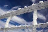 agricultural;agriculture;beautiful;calm;calmness;clean;clear;cold;Coldness;Color;Colour;country;countryside;Daytime;Exterior;farm;farming;farmland;farms;fence;fences;field;fields;freeze;freezes;freezing;freezing-fog;frost;Frosted;frosty;frozen;hexagon;hexagonal;high-country;hoar;hoar-frost;Hoarfrost;ice;ice-crystals;icy;idyllic;Landscape;Landscapes;meadow;meadows;natural;Nature;netting;new-zealand;Otago;Outdoor;Outdoors;Outside;paddock;paddocks;pasture;pastures;phenomena;phenomenon;rime;rural;Scenic;Scenics;season;seasonal;seasons;South-Island;spectacular;stunning;sutton;weather;White;winter;Wintertime;wintery;wintry;wire;wire-net;wire-netting;wires