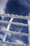 agricultural;agriculture;beautiful;calm;calmness;clean;clear;cold;Coldness;Color;Colour;country;countryside;Daytime;Exterior;farm;farming;farmland;farms;fence;fences;field;fields;freeze;freezes;freezing;freezing-fog;frost;Frosted;frosty;frozen;hexagon;hexagonal;high-country;hoar;hoar-frost;Hoarfrost;ice;ice-crystals;icy;idyllic;Landscape;Landscapes;meadow;meadows;natural;Nature;netting;new-zealand;Otago;Outdoor;Outdoors;Outside;paddock;paddocks;pasture;pastures;phenomena;phenomenon;rime;rural;Scenic;Scenics;season;seasonal;seasons;South-Island;spectacular;stunning;sutton;weather;White;winter;Wintertime;wintery;wintry;wire;wire-net;wire-netting;wires