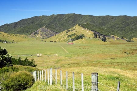 agricultural;agriculture;country;countryside;crop;crops;east-cape;east-coast;eastland;farm;farming;farmland;farms;fence;fenceline;fencelines;fences;field;fields;hill;hills;horticulture;meadow;meadows;new-zealand;north-is.;north-island;paddock;paddocks;pasture;pastures;rural