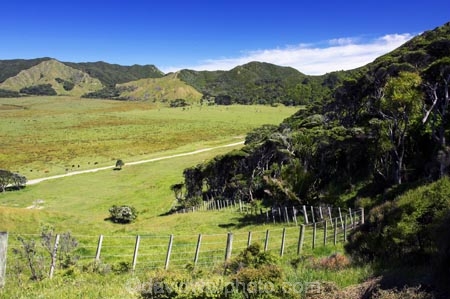 agricultural;agriculture;country;countryside;crop;crops;east-cape;east-coast;eastland;farm;farming;farmland;farms;fence;fenceline;fencelines;fences;field;fields;hill;hills;horticulture;meadow;meadows;new-zealand;north-is.;north-island;paddock;paddocks;pasture;pastures;rural