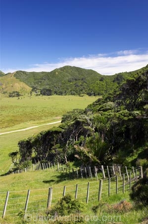 agricultural;agriculture;country;countryside;crop;crops;east-cape;east-coast;eastland;farm;farming;farmland;farms;fence;fenceline;fencelines;fences;field;fields;hill;hills;horticulture;meadow;meadows;new-zealand;north-is.;north-island;paddock;paddocks;pasture;pastures;rural