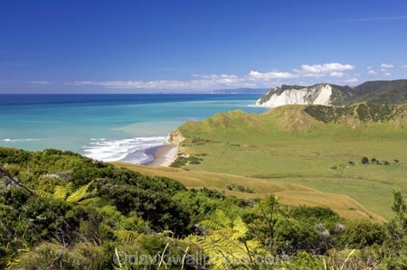 agricultural;agriculture;coast;coastal;coastline;country;countryside;east-cape;east-coast;farm;farming;farmland;farms;field;fields;horticulture;meadow;meadows;new-zealand;north-is.;north-island;ocean;oceans;paddock;paddocks;pasture;pastures;rural;sea;shore;shoreline;surf;wave;waves