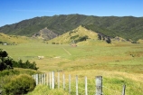 agricultural;agriculture;country;countryside;crop;crops;east-cape;east-coast;eastland;farm;farming;farmland;farms;fence;fenceline;fencelines;fences;field;fields;hill;hills;horticulture;meadow;meadows;new-zealand;north-is.;north-island;paddock;paddocks;pasture;pastures;rural