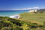 agricultural;agriculture;coast;coastal;coastline;country;countryside;east-cape;east-coast;farm;farming;farmland;farms;field;fields;horticulture;meadow;meadows;new-zealand;north-is.;north-island;ocean;oceans;paddock;paddocks;pasture;pastures;rural;sea;shore;shoreline;surf;wave;waves