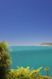 bay;bays;coast;coastal;coastline;east-cape;east-coast;Eastland;Haupara-Point;new-zealand;north-is.;north-island;ocean;oceans;sea;shore;shoreline;surf;te-araroa;wave;waves