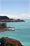 coast;coastal;coastline;east-cape;east-coast;flower;flowers;metrosideros-excelsa;new-zealand;north-is.;north-island;ocean;oceans;plant;plants;pohutakawa;pohutakawas;pohutukawa;pohutukawa-flower;pohutukawa-flowers;pohutukawa-tree;pohutukawa-trees;pohutukawas;sea;shore;shoreline;surf;tree;trees;wave;waves;Whitianga-Bay