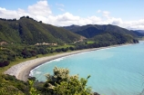 coast;coastal;coastline;east-coast;Eastland;Flower;flowers;leptospermum-scoparium;Manuka;manukas;Maraenui-Lookout;new-zealand;north-is.;north-island;ocean;oceans;sea;shore;shoreline;surf;tea-tree;tea-trees;tea_tree;tea_trees;teatree;teatrees;wave;waves;Whituare-Bay