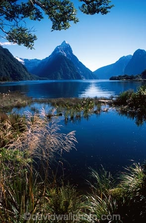 beautiful;beauty;bluff;bluffs;calm;calmness;cliff;cliffs;coast;coastal;coastline;fiord;fiords;fjord;fjords;majestic;middle-earth;mountain;mountains;natural;nature;peak;peaks;reflection;reflections;scene;scenic;sea;snow;snowy;sounds;south-west;southland;still;stillness;summit;summits;te-wahipounamu-south_west-new-zealand-world-hertitage-area;water